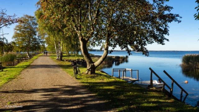 Dette bildet fanger en idyllisk scene ved en rolig vannkant, sannsynligvis en innsjø eller en del av en elv.
